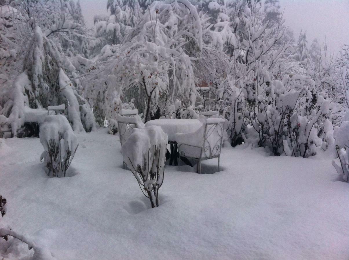 Sparsh Resort, A Boutique Stay - Just 2Kms Uphill From Mall Road, Near Old Manali Exterior photo
